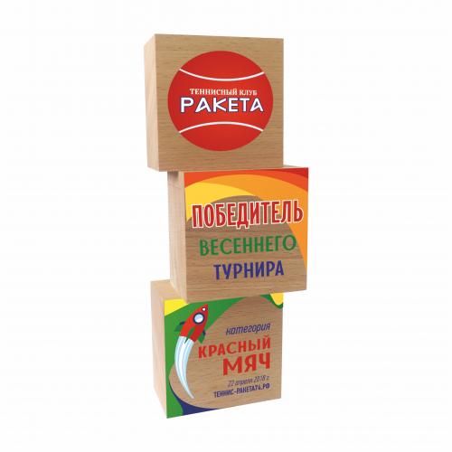 Приз DR 01008 (дерево, 240х80х52 мм) с примером персонификации