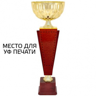 Кубок KB 6020 C (H-34 см, D-100 мм)