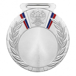 Медаль Dmd Rus.79/S (D-80мм, D-50мм, s-2,5мм)
