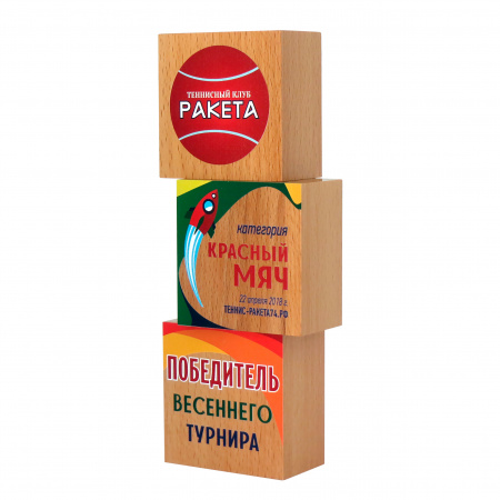 Приз DR 01008 (дерево, 240х80х52 мм) с примером персонификации