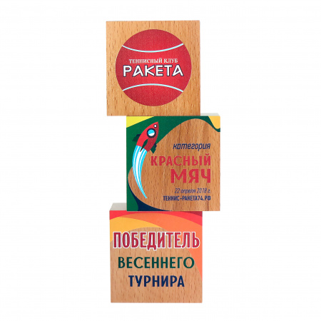Приз DR 01008 (дерево, 240х80х52 мм) с примером персонификации