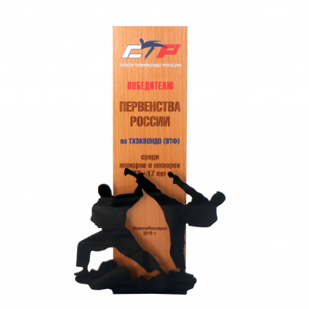 Приз DR 01018 (бук, акрил, 250х140х60 мм) с примером персонификации