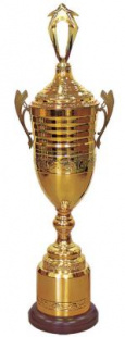 Кубок Dhb 2 C (H-100 см, D-220 мм)