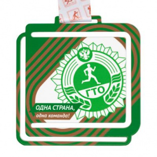 Медаль GMZP 838-95-1/ВМ (95х100мм, s-2 мм)