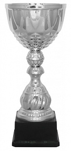 Кубок KB 5027/S (H-37 см, D-160 мм)