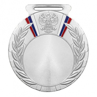 Медаль Dmd Rus.79/S (D-80мм, D-50мм, s-2,5мм)