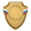 Российская символика