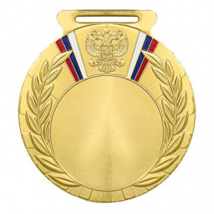 Медаль Dmd Rus.79/G (D-80мм, D-50мм, s-2,5мм)