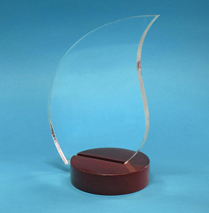 Приз DR 01007 (дерево, акрил, 150х100х70 мм)
