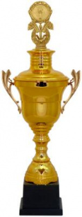 Кубок Dhb 9122 D (H-67 см, D-180 мм)