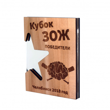 Приз DR 01010 (дерево, акрил, 200х160х20 мм) с примером персонификации