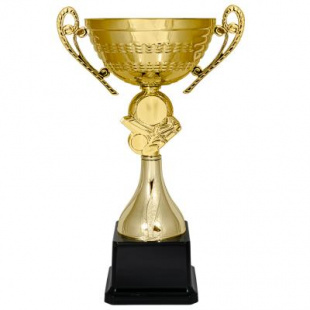 Кубок KB 9053 C (H- 24см, D-100мм)