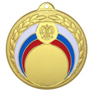 Медаль Dmz 45-50/G (D-50мм, D-25мм, s-2,5мм)